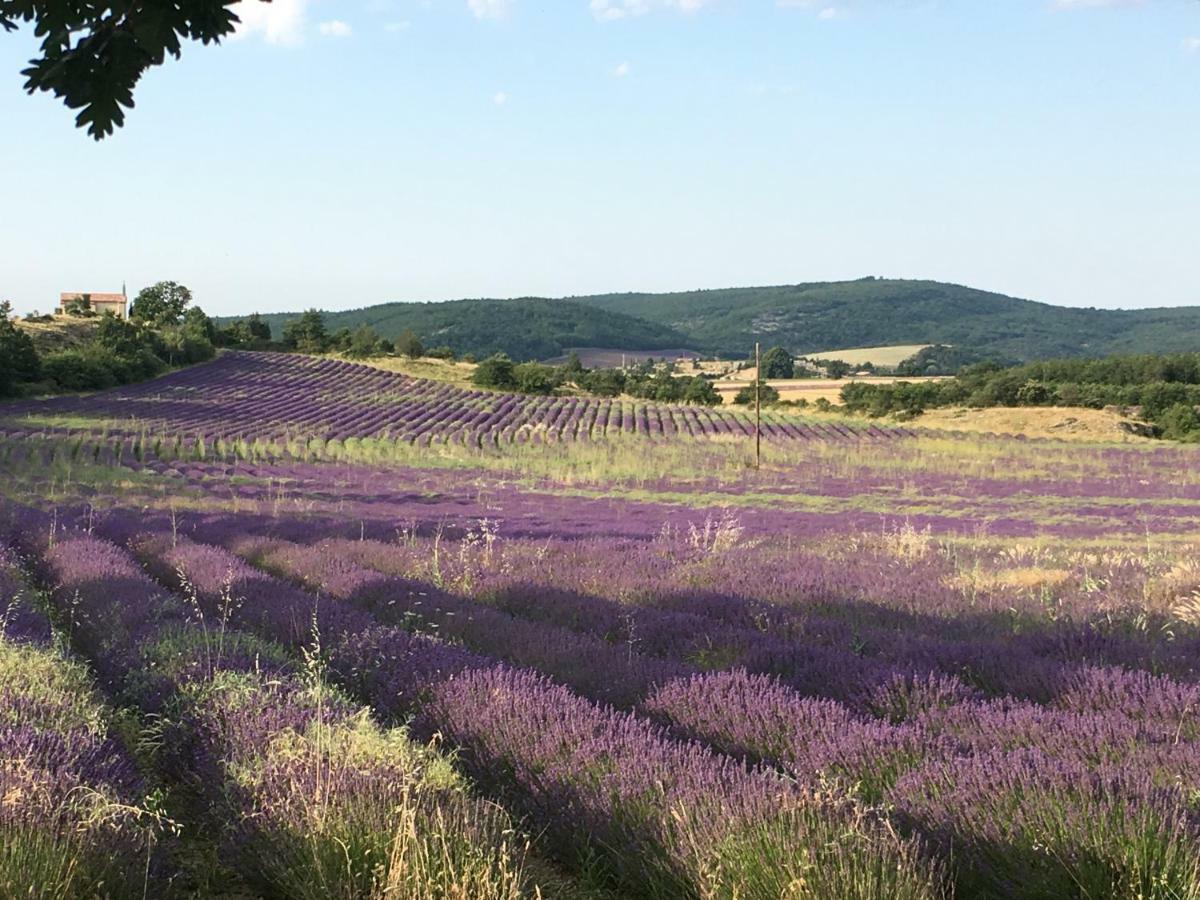 Villa Luberon Saint-Saturnin-lès-Apt Dış mekan fotoğraf